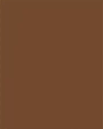 FOLIA Dekorkarton, 2 oldalas, 50x70 cm, 300 g, 10 lap, FOLIA, csokoládébarna