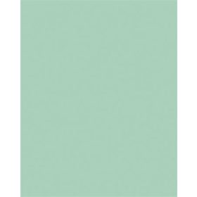 FOLIA Színes papír, A3, 130 g, 50 lap, FOLIA, menta