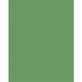 FOLIA Színes papír, A3, 130 g, 50 lap, FOLIA, mohazöld