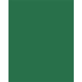 FOLIA Színes papír, A3, 130 g, 50 lap, FOLIA, fenyőzöld