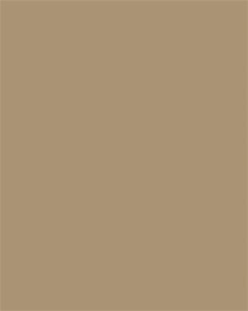 FOLIA Színes papír, A4, 130 g, 100 lap, FOLIA, őzbarna