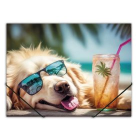   PANTA PLAST Gumis mappa, 15 mm, PP, A4, PANTA PLAST, "Chillout dog"