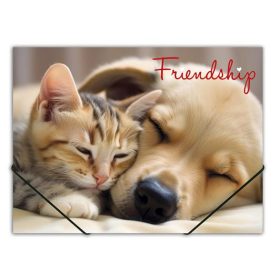   PANTA PLAST Gumis mappa, 15 mm, PP, A4, PANTA PLAST "Friendship"