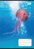 COOL BY VICTORIA Füzet, tűzött, A5, kockás, 32 lap, COOL BY VICTORIA "Ocean World", "27-32"