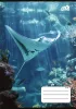 COOL BY VICTORIA Füzet, tűzött, A5, kockás, 32 lap, COOL BY VICTORIA "Ocean World", "27-32"