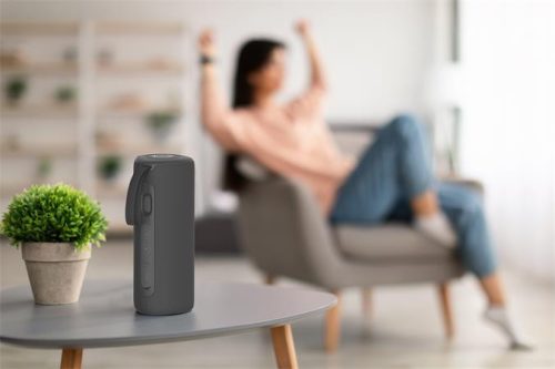 KODAK Hangszóró, hordozható, 24W, Bluetooth 5.0, KODAK PWS-2246