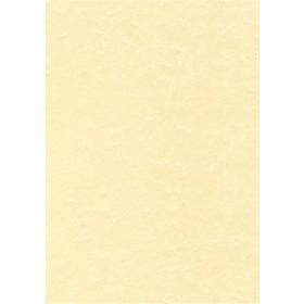   APLI Előnyomott papír, A4, 95 g, pergamen hatású, APLI, pezsgő