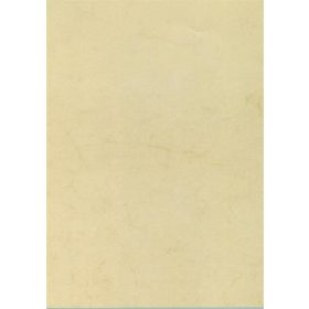 APLI Előnyomott papír, A4, 200 g, APLI, havanna