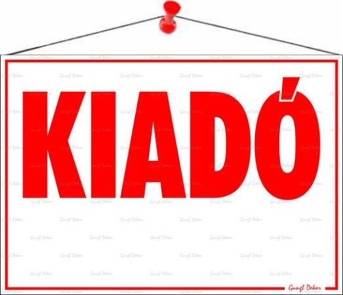 . Információs tábla, 50x35 cm, "Kiadó"