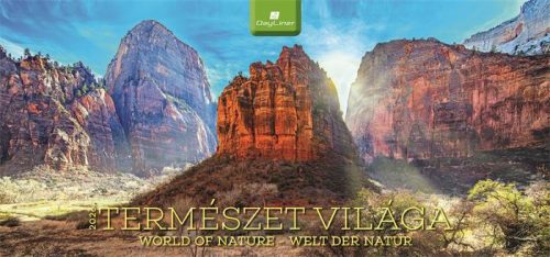 DAYLINER Naptár, asztali, álló, DAYLINER "Természet világa"