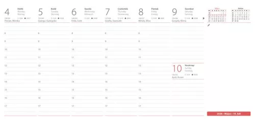 DAYLINER Naptár, asztali, fekvő, DAYLINER, "Oktáv"