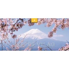   DAYLINER Naptár, asztali, álló, DAYLINER "Képes világ"