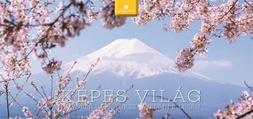 DAYLINER Naptár, asztali, álló, DAYLINER "Képes világ"