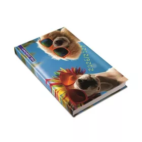   REALSYSTEM Diák zsebkönyv, heti, 2026/2027 tanév, REALSYSTEM, summer