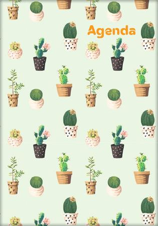 DAYLINER Naptár, tervező, A5, heti, DAYLINER, "Colors", Cactus