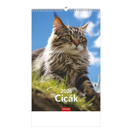 TOPTIMER Naptár, fali, TOPTIMER, "Cicák"