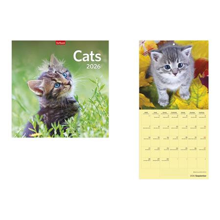 TOPTIMER Naptár, fali, TOPTIMER, "Cats"