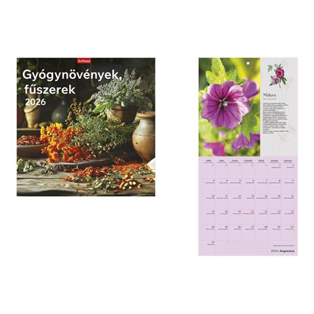 TOPTIMER Naptár, fali, TOPTIMER, "Gyógynövények, fűszerek"