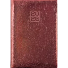   DAYLINER Naptár, tervező, A5, napi, DAYLINER, "Mirror", bronz