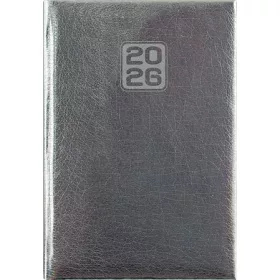   DAYLINER Naptár, tervező, A5, napi, DAYLINER, "Mirror", ezüst