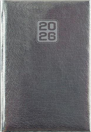 DAYLINER Naptár, tervező, A5, napi, DAYLINER, "Mirror", ezüst