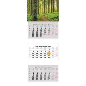   DAYLINER Naptár, speditőr, három hónapos, három tömbös, DAYLINER