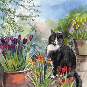   Képeslap Alex Clark borítékkal, 14x14 cm, cica tulipánokkal