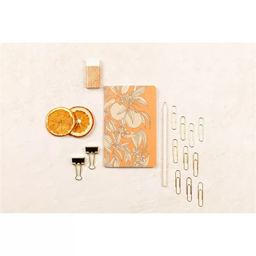 Kollekció Clairefontaine Jardin des Sens jegyzetfüzet, ceruza, binder csipesz, kapocs, radír