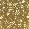 Kreatív kartonpapír Clairefontaine prizmás metál 25x35 cm 195g vegyes 5 ív/csomag