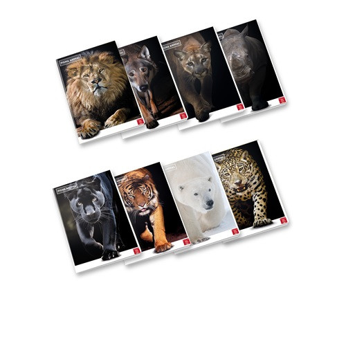 Füzet Pigna Animal A/4 tűzött 42 lapos vonalas