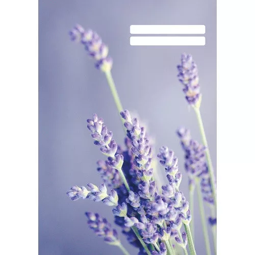 Füzet pd kisalakú 32 lapos 27-32 kockás Colores