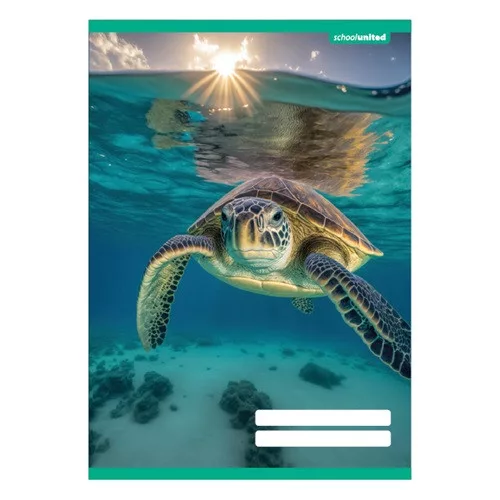 Füzet pd kisalakú 12-32 vonalas School United