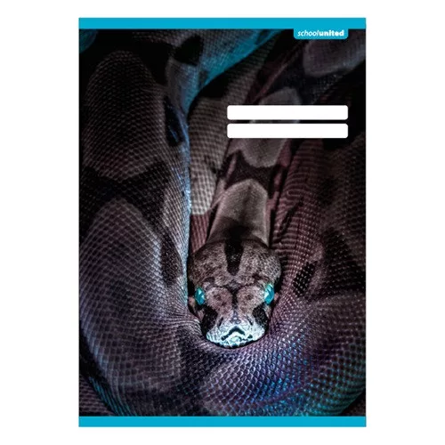 Füzet pd kisalakú 12-32 vonalas School United