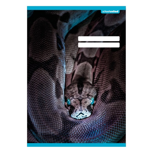 Füzet pd kisalakú 21-32 vonalas School United