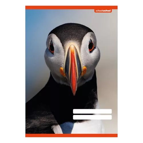 Füzet pd kisalakú 27-32 kockás School United