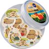 Öntapadós jegyzettömb Centrum CAPYBARA 45x45mm 50 lapos vegyes