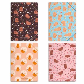 Gumis mappa Forever Young A/4 Capybara