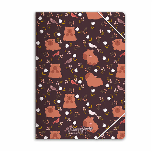 Gumis mappa Forever Young A/4 Capybara