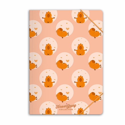 Gumis mappa Forever Young A/4 Capybara