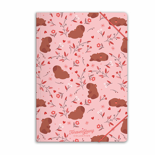 Gumis mappa Forever Young A/4 Capybara