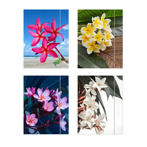 Gumis mappa Herlitz Flower A/4