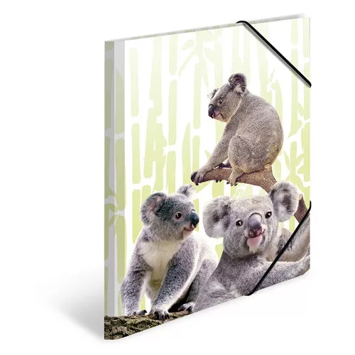 Gumis mappa PP Herma A/3 Koalák