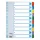 Regiszter Mylar Esselte 1-10