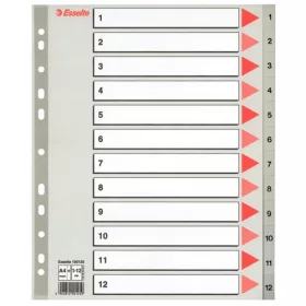 Regiszter PP Esselte A/4 1-12-ig szürke maxi 100125