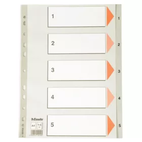 Regiszter Mylar Esselte A/4 1-31-ig 100103