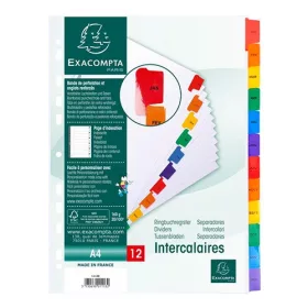   Regiszter karton Exacompta A/4 Jan-Dec 12 részes fehér, színes laminált fülekkel