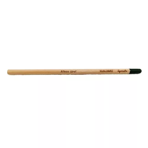 Grafitirón pd Alkoss újra! ültethető HB