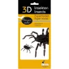 3D papírmodell Fridolin Pók