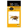 3D papírmodell Fridolin Méhecske