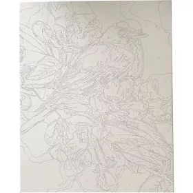  Kreatív kifestő klt. Centrum számozott, 40x50 cm, Színes madár